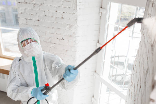 Best Post-Construction Mold Inspection  in Greenwood, SC