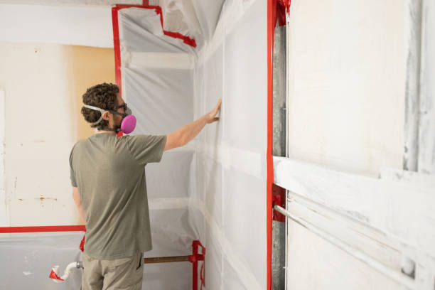 Best Mold Odor Removal Services  in Greenwood, SC