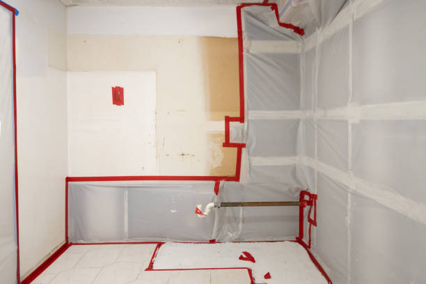 Best Emergency Mold Remediation  in Greenwood, SC