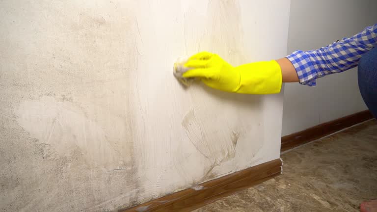 Best Air Quality Testing for Mold Spores  in Greenwood, SC