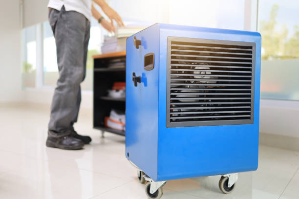 Best Mold Damage Restoration  in Greenwood, SC